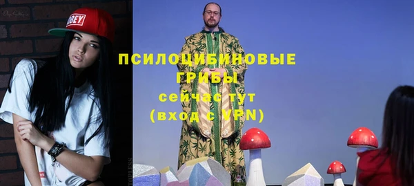 Альфа ПВП Армянск
