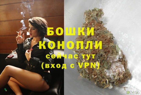 прущие грибы Осинники
