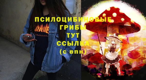 круглые Аркадак