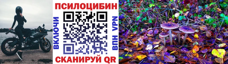 закладки  Пустошка  Галлюциногенные грибы GOLDEN TEACHER 