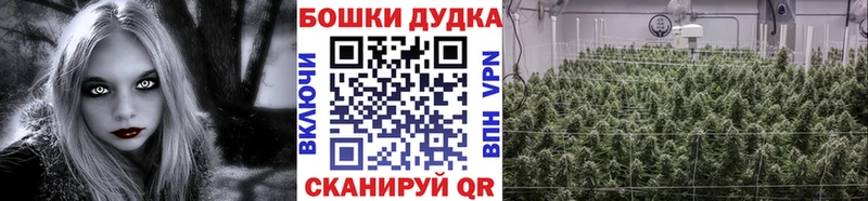 продажа наркотиков  Пустошка  мориарти наркотические препараты  Марихуана Bruce Banner 